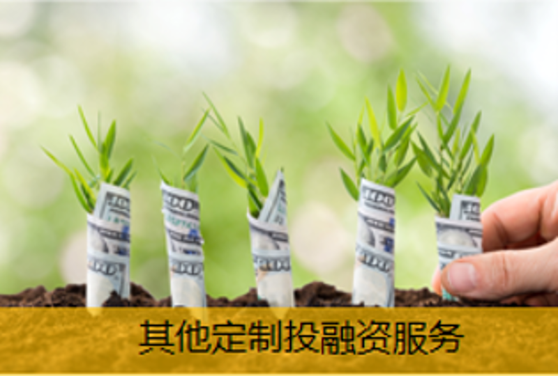 其他定制投融資服務